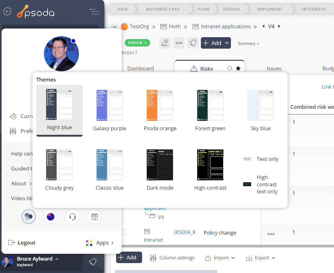 Theme options